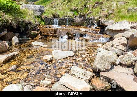 Stream fließende Wasser über die Felsen und Steine durch die Landschaft im Sommer, crowden Clough, Derbyshire, Peak District National Park, England, Großbritannien Stockfoto