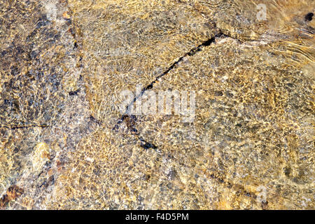 Nahaufnahme von klare flache Stream über Risse im Stein mit Plätschern des Wassers bilden Muster, England, Großbritannien Stockfoto