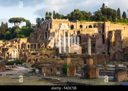 Roman Forum bleibt, Rom, Italien Stockfoto