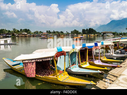 Shikara Boote auf See Dal, Srinagar, Kaschmir, Indien Stockfoto