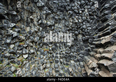 Wabenmuster von Basaltgestein in Hljodaklettar, Jokulsargljufur, Nordhurland Eystra, Island. Stockfoto