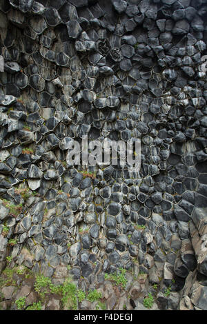 Wabenmuster von Basaltgestein in Hljodaklettar, Jokulsargljufur, Nordhurland Eystra, Island. Stockfoto