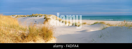 Sanddünen, Gotska Sandon, Schweden. Stockfoto