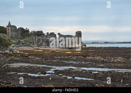 Burg von St Andrews und West Sands, Schottland Stockfoto