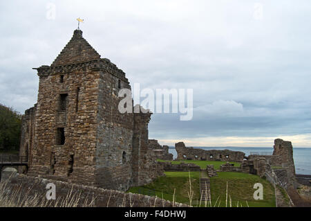 Burg von St Andrews, Fife, Schottland Stockfoto