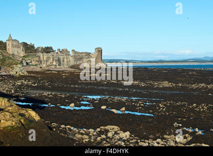 Burg von St Andrews und West Sands, Schottland Stockfoto