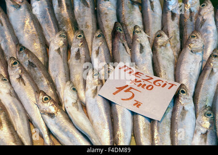 Östliche Basar - frischer Fisch Bild des großen Haufen von frischem Fisch mit Preisschild drauf Stockfoto