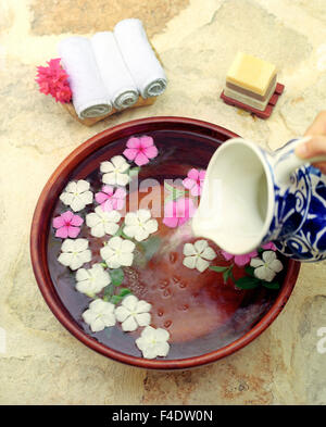 Ein Fuß mit mexikanische Myrte Blumen und Orangenblüten, Schokolade Trüffel, Minze Seifen waschen. Riviera Maya, Yucatan, Mexiko Stockfoto