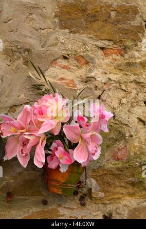 Eine Vase mit rosa Blüten gegen eine Steinmauer in Florenz Italien Stockfoto