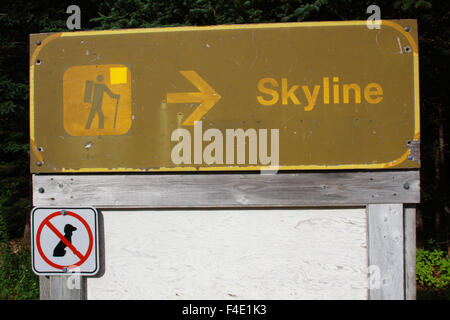 Die Skyline Trail in Cape Breton, Nova Scotia. Stockfoto