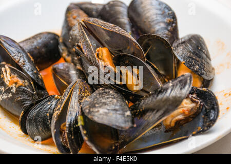 Ein Gericht aus Muscheln Bilder mit Tomatensauce, offen, bereit um zu essen, in einer Tabelle zu verbreiten. Stockfoto