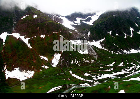 Luftaufnahme des Tongass National Forest in Juneau, Alaska auf dem Weg zum Mendenhall Gletscher Stockfoto