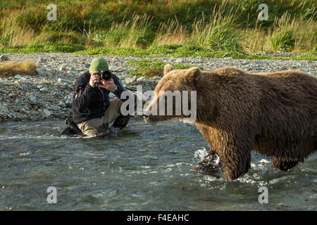 Biologe und Fotograf Fotos Braunbär entlang Katmai Küste ...