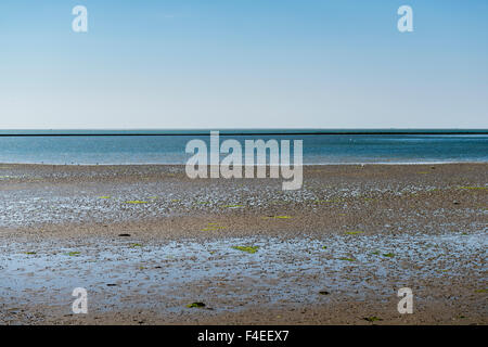 4. Juli, 2014 Gezicht Op de Wattenmeer. Blick auf das Wattenmeer, Wattwanderungen in Hülle und Fülle.  Foto Kees Metselaar Stockfoto