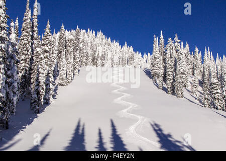 Schöne Runde Bahnen aus Lodi am blauen Himmel Tag Mountain Resort, Whitefish, Montana, USA. Stockfoto