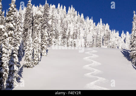 Schöne Runde Bahnen aus Lodi am blauen Himmel Tag Mountain Resort, Whitefish, Montana, USA. Stockfoto