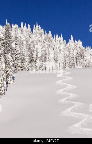 Schöne Runde Bahnen aus Lodi am blauen Himmel Tag Mountain Resort, Whitefish, Montana, USA. Stockfoto