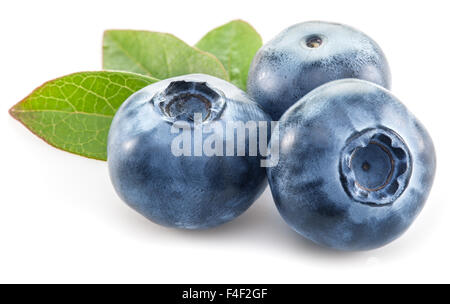 Reife Heidelbeeren auf dem weißen Hintergrund. Stockfoto