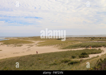 Strand Dünen im Sommer in Chatham, Massachusetts auf Cape Cod. Stockfoto