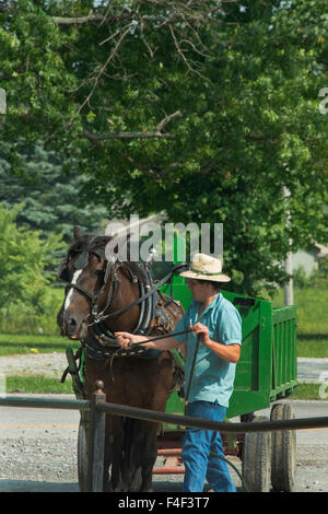 Geauga County, Ohio Mesopotamien. Typische junge Amish in traditioneller Kleidung mit Pferdewagen. Stockfoto