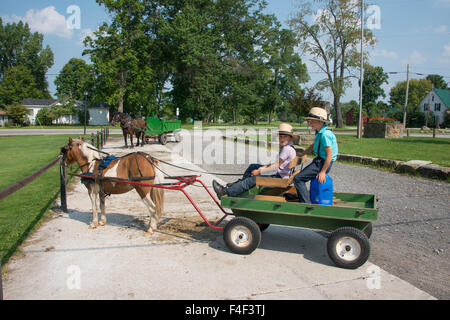 Geauga County, Ohio Mesopotamien. Typisch jungen Amischen in traditioneller Kleidung mit Karre und Pinto Pony. (MR) (Großformatige Größen erhältlich) Stockfoto