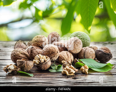 Walnüsse auf dem Holztisch unter dem Walnussbaum. Stockfoto