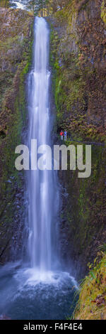 USA. Oregon. Vertikales Panoramablick auf Tunnel Wasserfälle, 6 Meilen vom Ausgangspunkt der Wanderung in der Columbia-Schlucht. (Großformatige Größen erhältlich). Stockfoto