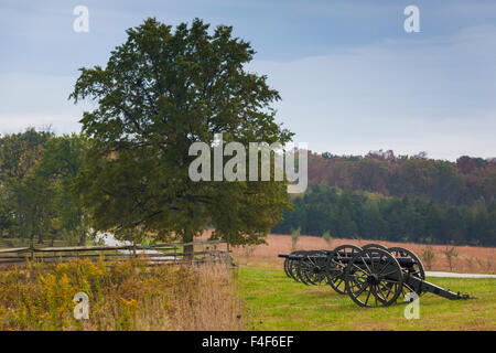 USA, Pennsylvania, Gettysburg, Schlacht von Gettysburg, Artillerie an der Konföderierten Avenue Stockfoto