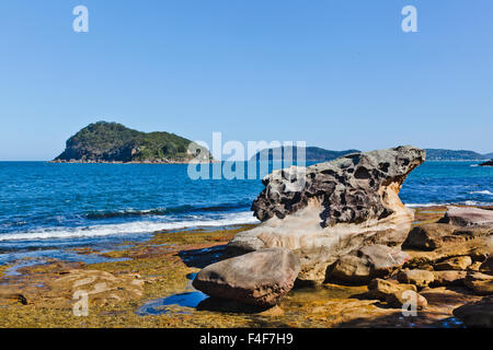 Blick auf Lion Island in Broken Bay aus Brisbane-Wasser-Nationalpark am mittleren Kopf, Central Coast, New-South.Wales, Australien Stockfoto