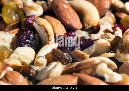 Trail Mix Nüssen und getrockneten Früchten in Studioumgebung Stockfoto