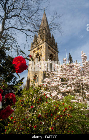 Llandaff Cathedral Prichard Turmspitze im Frühjahr mit Kirschblüte und roten Blumen Llandaff Cardiff Wales UK Stockfoto