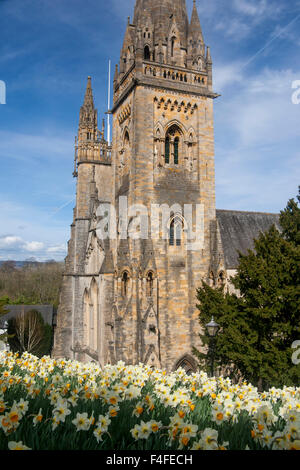 Llandaff Kathedrale im Frühling mit Narzissen im Vordergrund Cardiff Wales UK Stockfoto