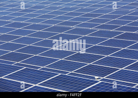 Sonnenkollektoren im Kraftwerk für erneuerbare Energien Stockfoto