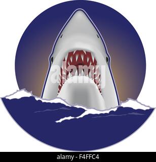 Eine Vektor-Illustration ein großer weißer Hai Stock Vektor