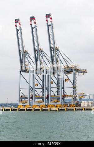 Containerkrane von Schiff zu Land an den Tilbury Docks an der Themse im Hafen von Tilbury, Essex Stockfoto