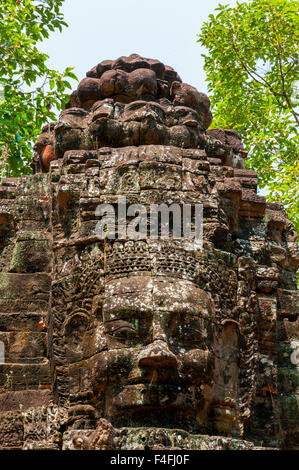 Kopf in Angkor Wat Stein gemeißelt Stockfoto