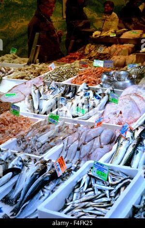 Frau shopping zu Brunelli Fischgeschäft in Bologna Italien Stockfoto