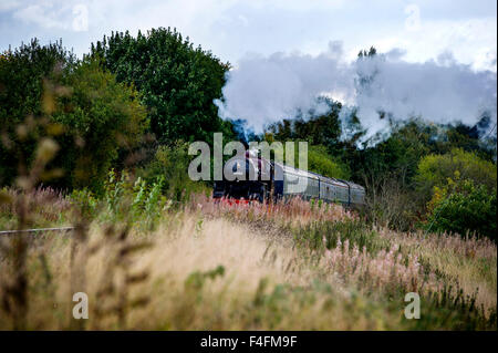 East Lancashire Railway, Herbst Steam Gala. Bild von Paul Heyes, Samstag, 17. Oktober 2015. Stockfoto