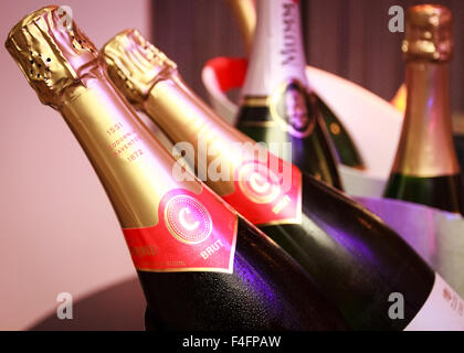 Codorniu Brut Cava spanischer Sekt Flaschen gekühlt auf Eis Eimer Stockfoto