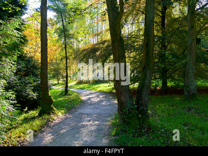 Harlow Carr, Gärten der Royal Horticultural Society, in der Nähe von Harrogate, North Yorkshire, England UK Stockfoto