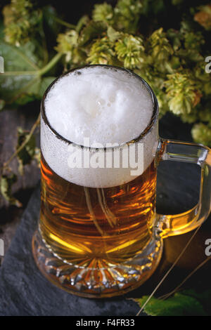 Tasse frisch gezapftes Lagerbier mit Schaum auf schwarzem Schiefer, serviert auf alten Holztisch mit grünen Hop und Ohren von Gerste. Dunkle rus Stockfoto