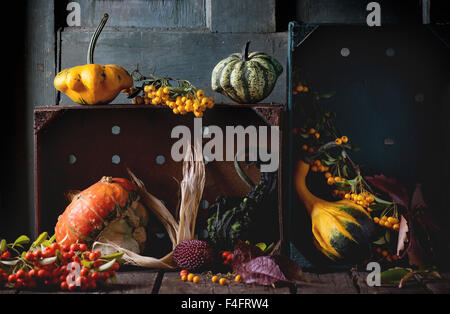 Auswahl an verschiedenen essbaren und dekorative Kürbisse und Herbst Beeren in Holzkiste über hölzerne Hintergrund. Stockfoto