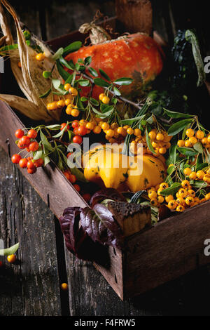 Auswahl an verschiedenen essbaren und dekorative Kürbisse und Herbst Beeren in Holzkiste über hölzerne Hintergrund. Stockfoto