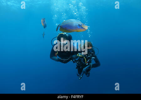 Taucherin schwimmt in der Nähe von Coral Reef, längliche Unicornfish (Naso Lopezi) schwebt über ihren Kopf und ihre Sopravazhdaya Glatat Blase Stockfoto