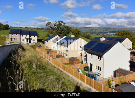 Neue kostengünstige Wohnungsbau mit Sonnenkollektoren auf dem Dach. Tanne Baum steigen, Kendal, Cumbria, England, Vereinigtes Königreich, Europa. Stockfoto