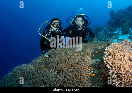 Indischer Ozean, Malediven. 15. Oktober 2014. Junges Paar Taucher schwimmt in der Nähe von Coral Reef, Indischer Ozean, Malediven © Andrey Nekrassow/ZUMA Wire/ZUMAPRESS.com/Alamy Live-Nachrichten Stockfoto