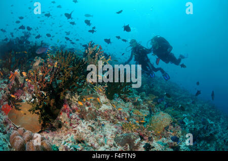 Indischer Ozean, Malediven. 27. Sep, 2015. Junges Paar Taucher schwimmt über ein Korallenriff und schaut sich eine Herde von bunten Fischen, Indischer Ozean, Malediven © Andrey Nekrassow/ZUMA Wire/ZUMAPRESS.com/Alamy Live-Nachrichten Stockfoto