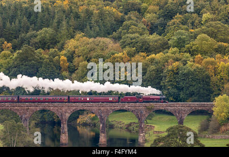 Cumbria, UK. 17. Oktober 2015. Der Cumbrian Mountain Express dampft durch die Herbst-Farben des Eden Valley Kreuzung Eden Lacy Viadukt in Cumbria entlang der weltberühmten an Carlisle Bahnstrecke zu begleichen. Der Zug geschleppt durch LMS Jubilee Klasse Lok 45699 Galatea ist das letzte Jahreszeiten Dampf Ausflüge entlang der Linie gezogen: 17. Oktober 2015 Credit: STUART WALKER/Alamy Live News Stockfoto