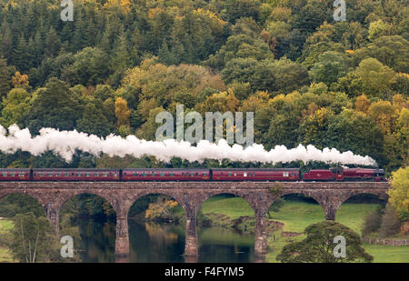 Cumbria, UK. 17. Oktober 2015. Der Cumbrian Mountain Express dampft durch die Herbst-Farben des Eden Valley Kreuzung Eden Lacy Viadukt in Cumbria entlang der weltberühmten an Carlisle Bahnstrecke zu begleichen. Der Zug geschleppt durch LMS Jubilee Klasse Lok 45699 Galatea ist das letzte Jahreszeiten Dampf Ausflüge entlang der Linie gezogen: 17. Oktober 2015 Credit: STUART WALKER/Alamy Live News Stockfoto