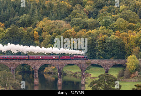 Cumbria, UK. 17. Oktober 2015. Der Cumbrian Mountain Express dampft durch die Herbst-Farben des Eden Valley Kreuzung Eden Lacy Viadukt in Cumbria entlang der weltberühmten an Carlisle Bahnstrecke zu begleichen. Der Zug geschleppt durch LMS Jubilee Klasse Lok 45699 Galatea ist das letzte Jahreszeiten Dampf Ausflüge entlang der Linie gezogen: 17. Oktober 2015 Credit: STUART WALKER/Alamy Live News Stockfoto